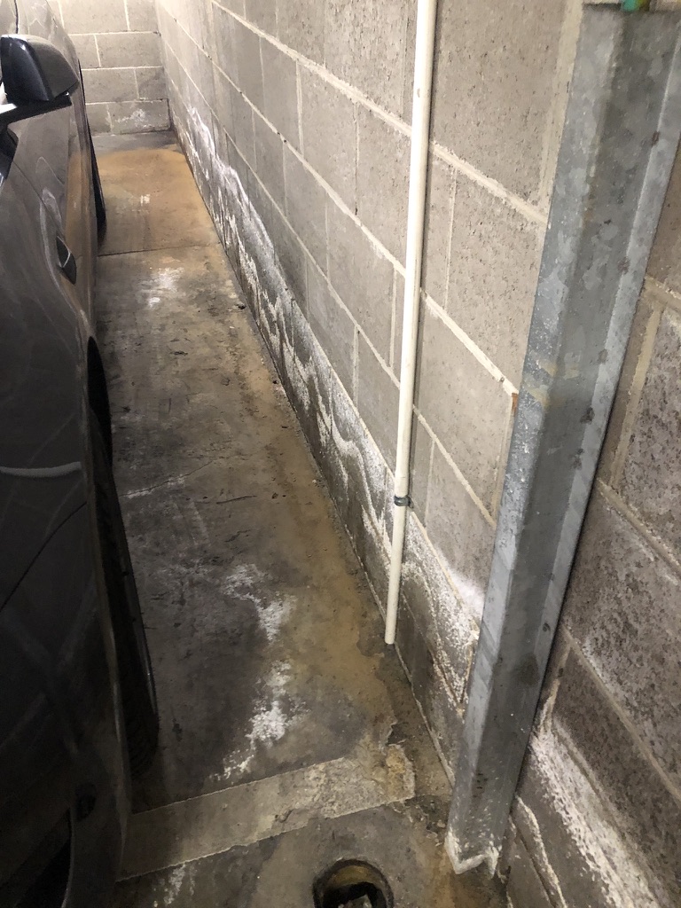 Professional leak detection equipment can detect water leaks behind walls.